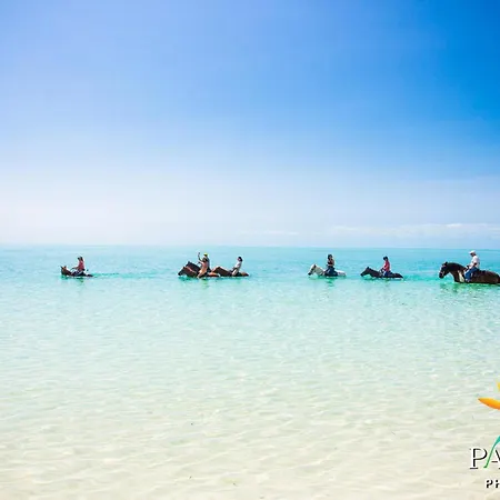 Kokomo Botanical Resort - Caribbean Family Cottages-2